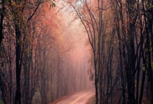 曼晚：曼城暂无计划再加一场季前赛，罗德里预计周一随队报到