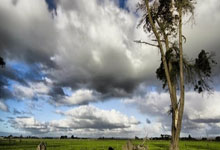 曼晚：曼城暂无计划再加一场季前赛，罗德里预计周一随队报到