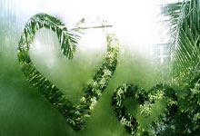 曼晚：曼城暂无计划再加一场季前赛，罗德里预计周一随队报到