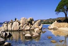 曼晚：曼城暂无计划再加一场季前赛，罗德里预计周一随队报到