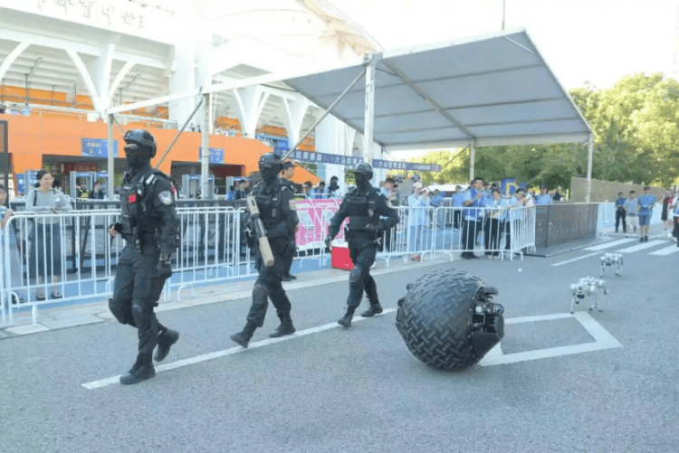 “汪汪队”的“苏超”赛场安保日记